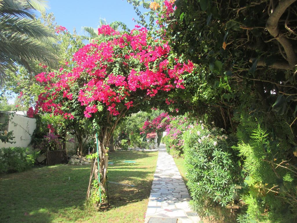 Tsialis Hotel Apartments Larnaca Luaran gambar