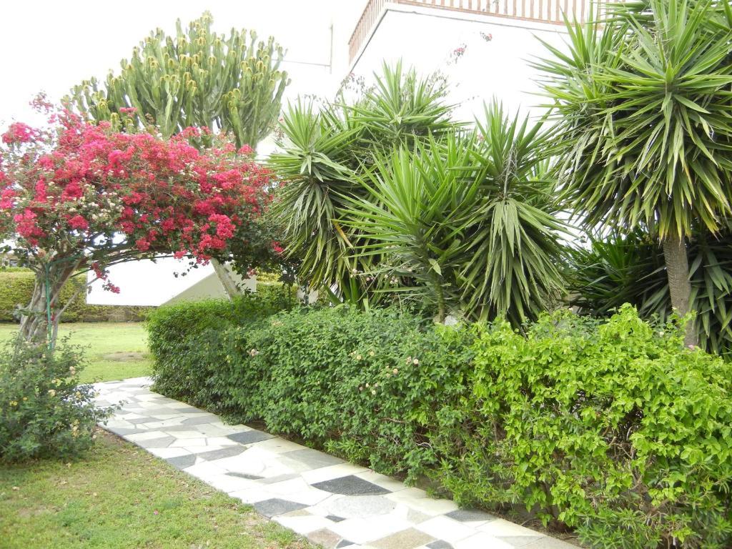 Tsialis Hotel Apartments Larnaca Luaran gambar