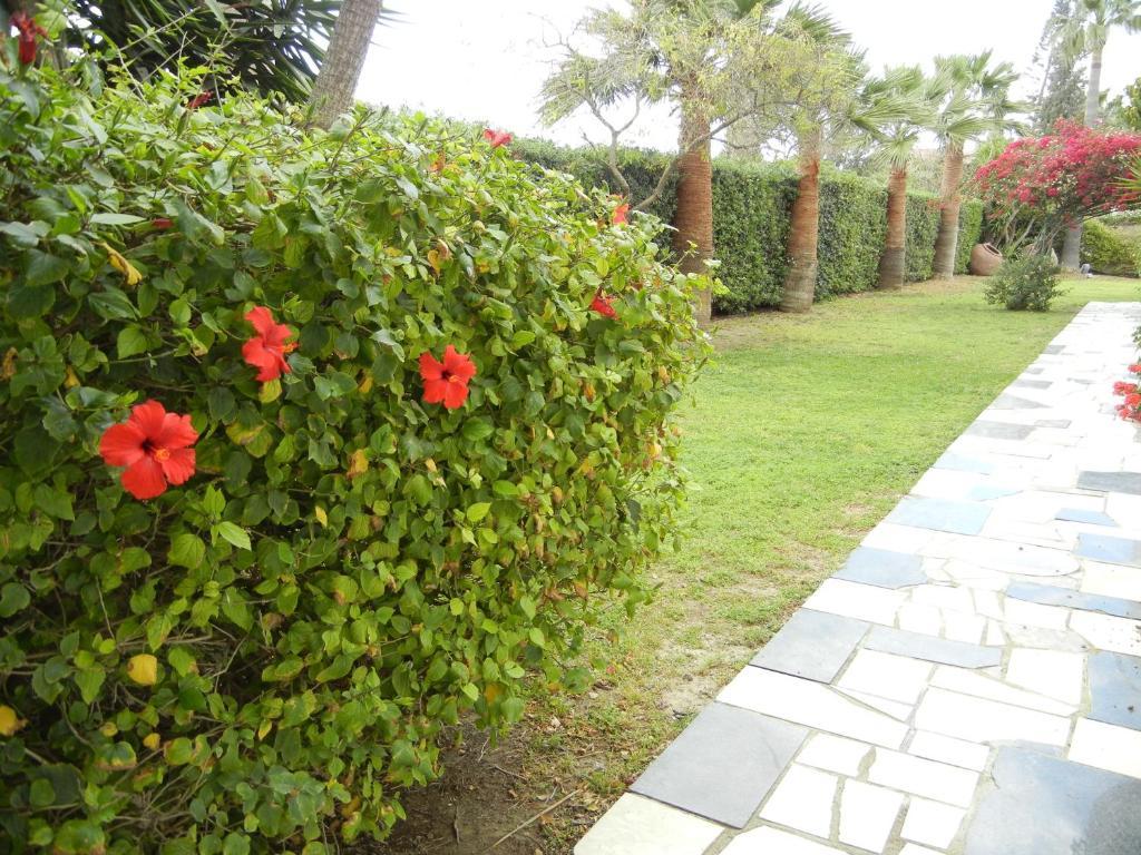 Tsialis Hotel Apartments Larnaca Bilik gambar